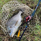 Boggy ENO BXT CHAMPLOO 76C Butt Joint Baitcasting Rod