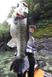 Decoy Worm 30M Makisasu Hook Magnum Worm Hook
