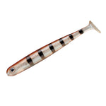 SMITH Ocean Performer Tsuya fish 3.4" Soft Plastics